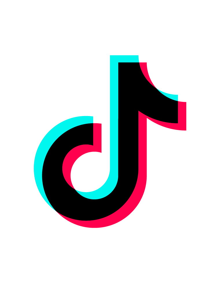 Read more about the article Logo Tik Tok Png